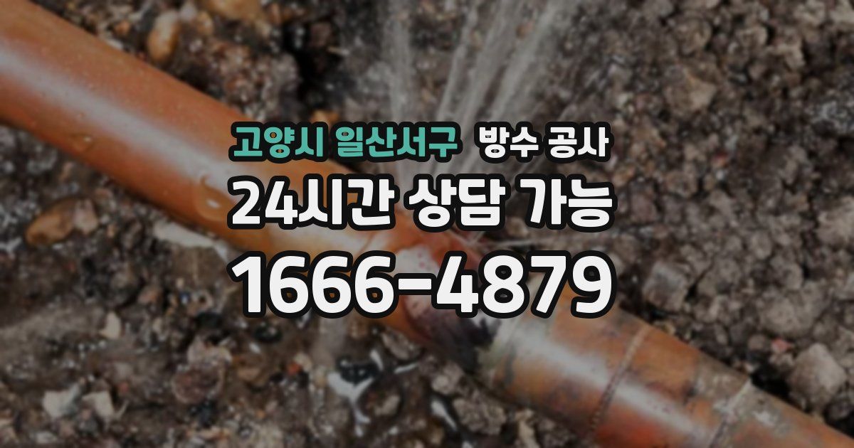고양시 일산서구 누수탐지