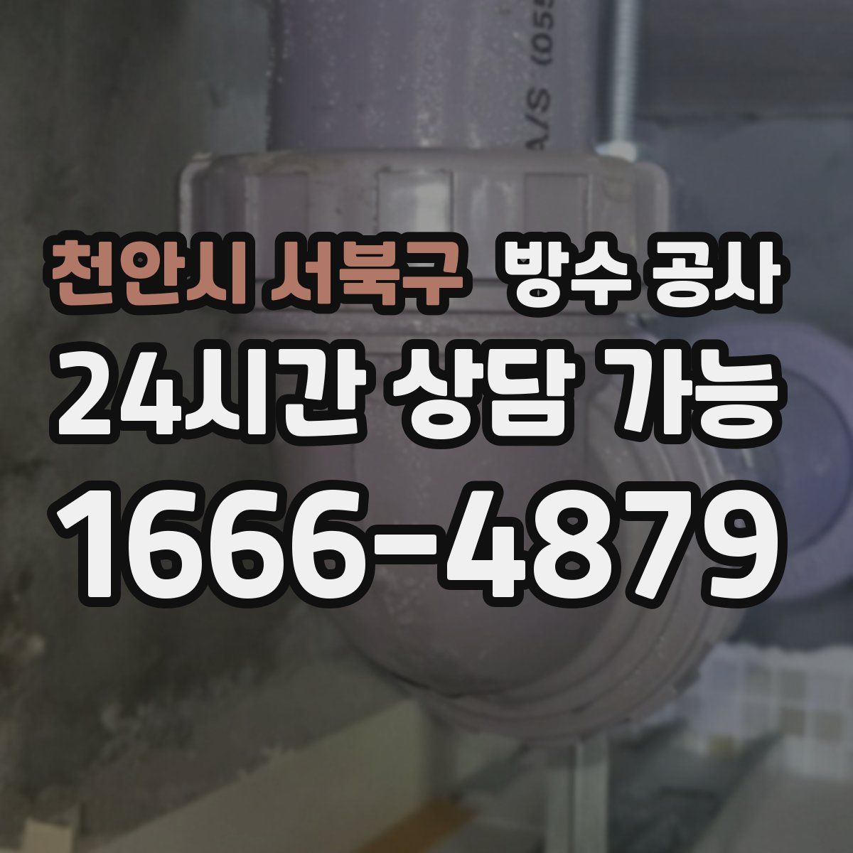 천안시 서북구 방수