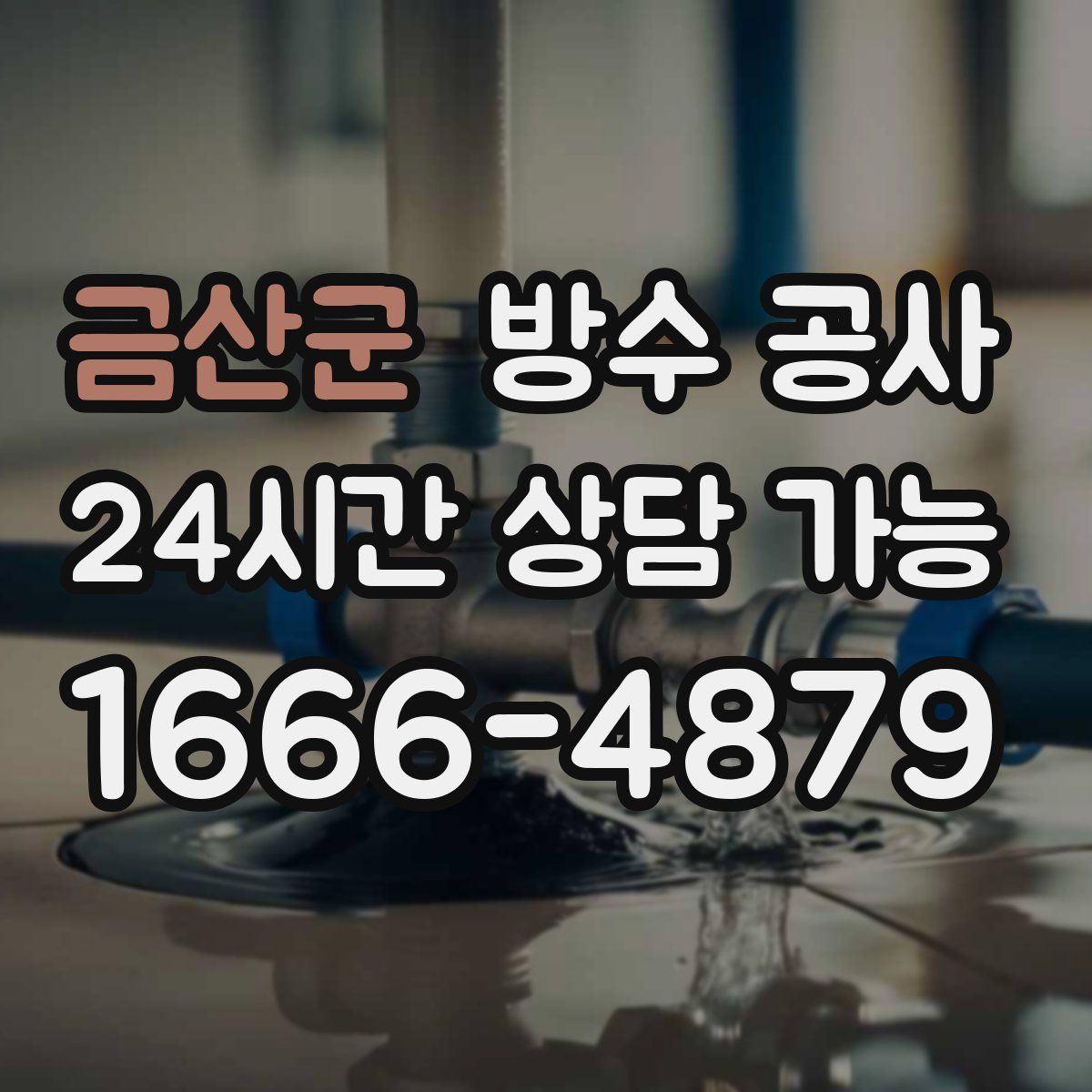 금산군 방수