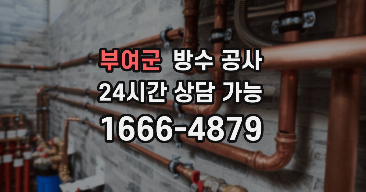 부여군 누수탐지