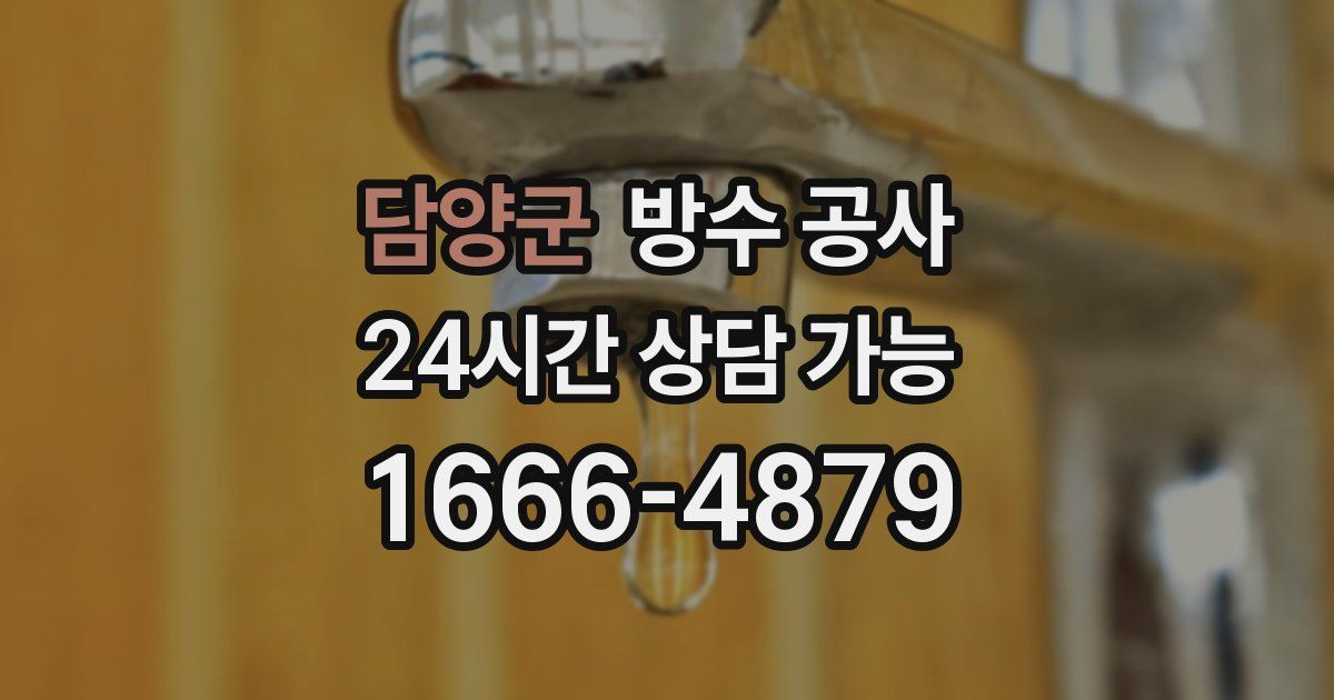 담양군 누수탐지