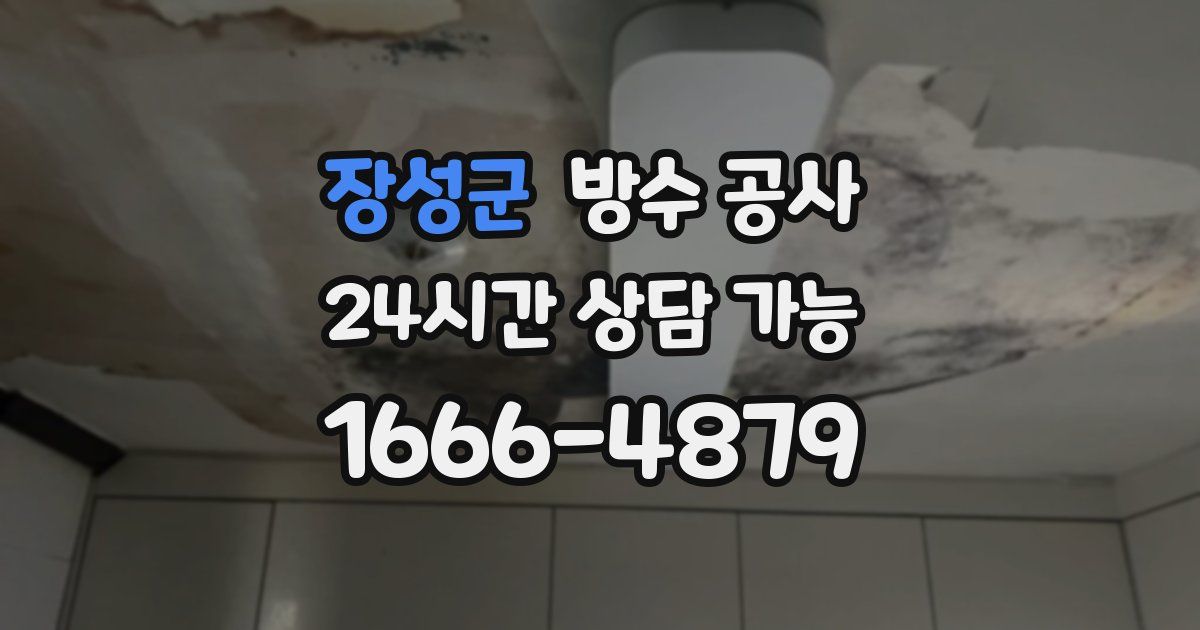 장성군 누수탐지