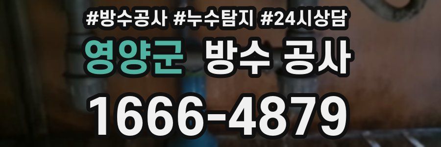 영양군 방수 공사