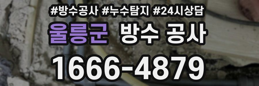 울릉군 방수 공사