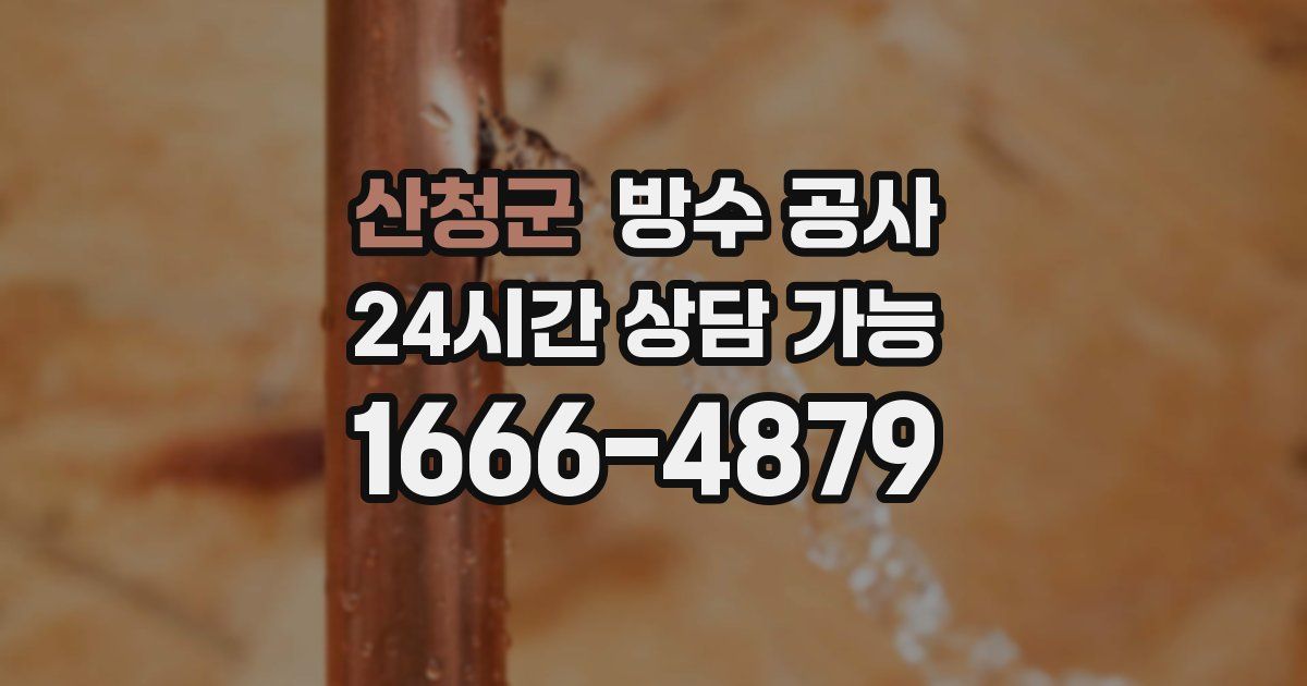 산청군 누수탐지