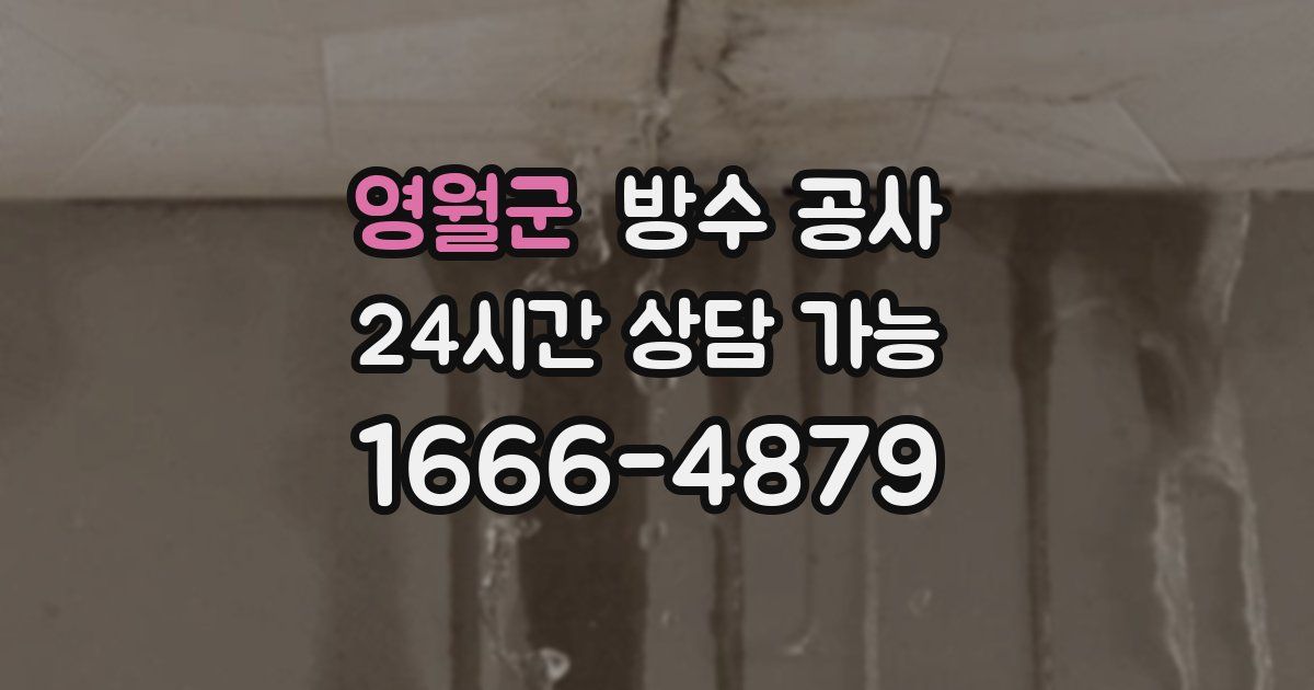 영월군 누수탐지