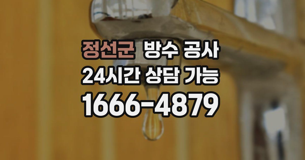 정선군 누수탐지