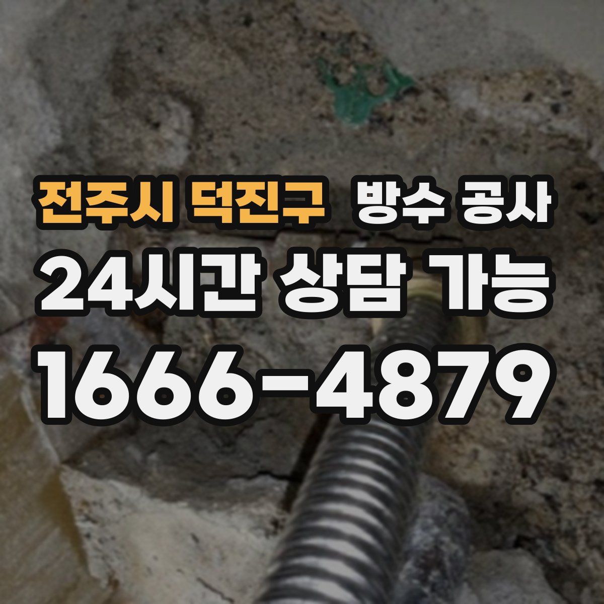 전주시 덕진구 방수