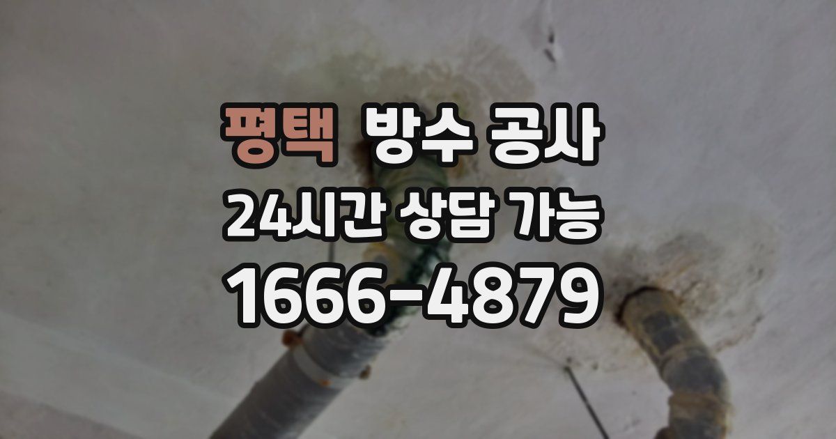 평택 누수탐지