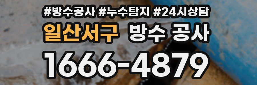 일산서구 방수 공사