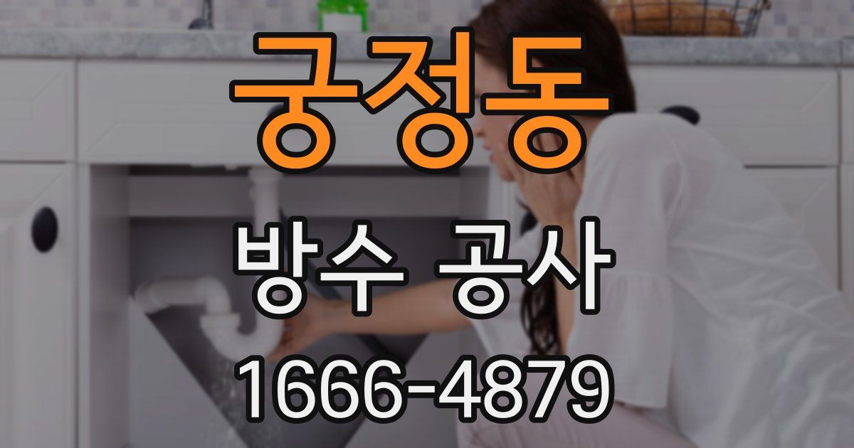 궁정동 방수 공사