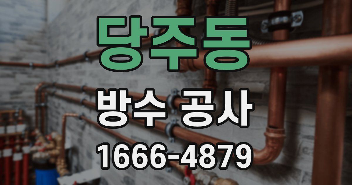 당주동 방수 공사