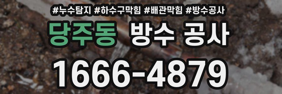 당주동 방수 공사