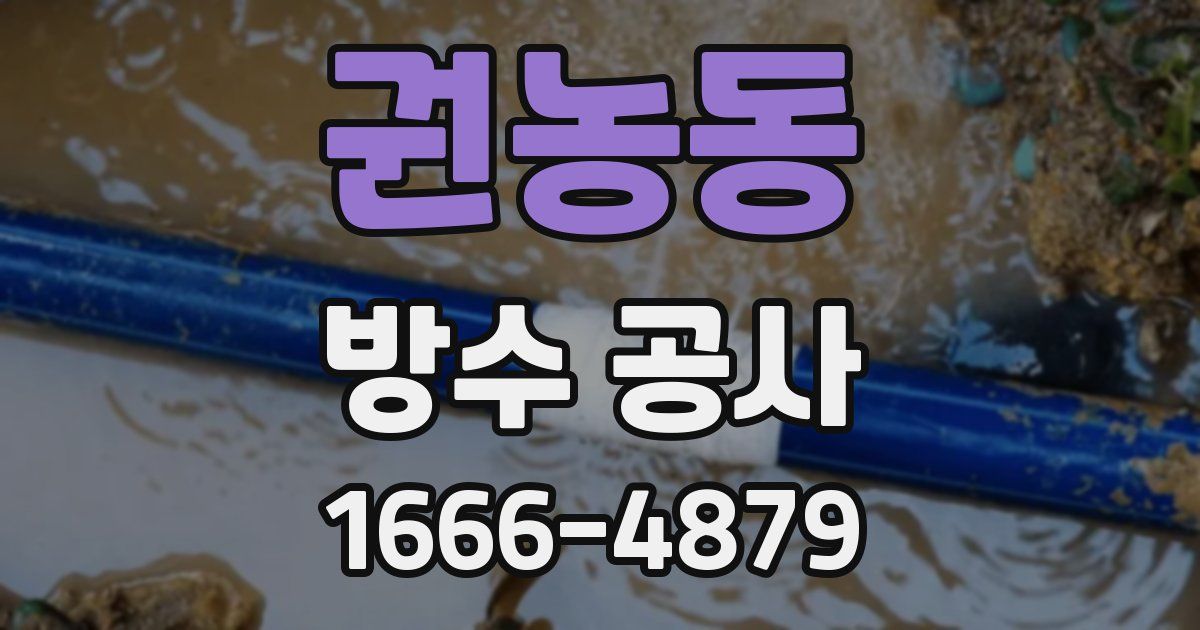 권농동 방수 공사
