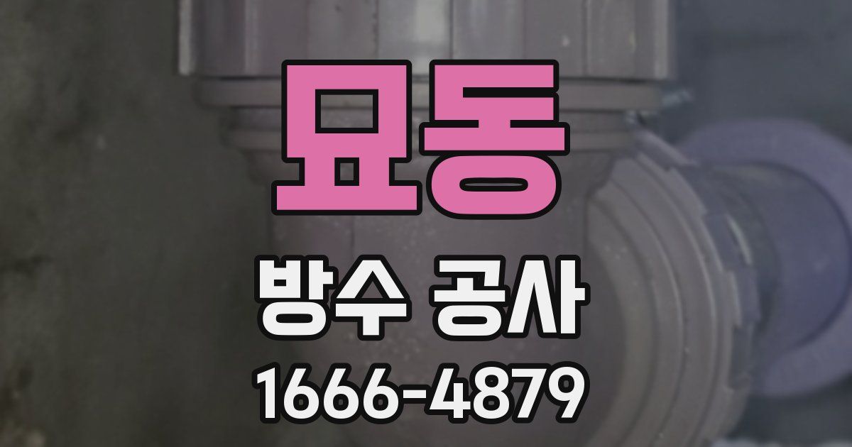 묘동 방수 공사