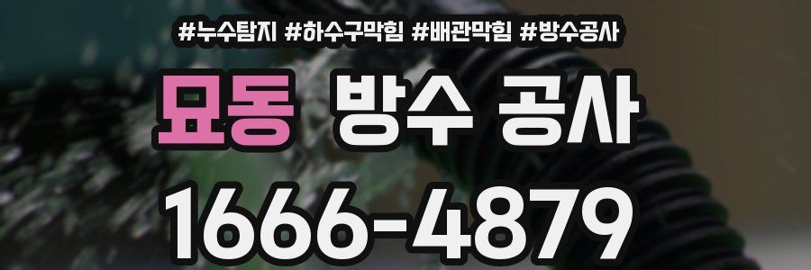 묘동 방수 공사