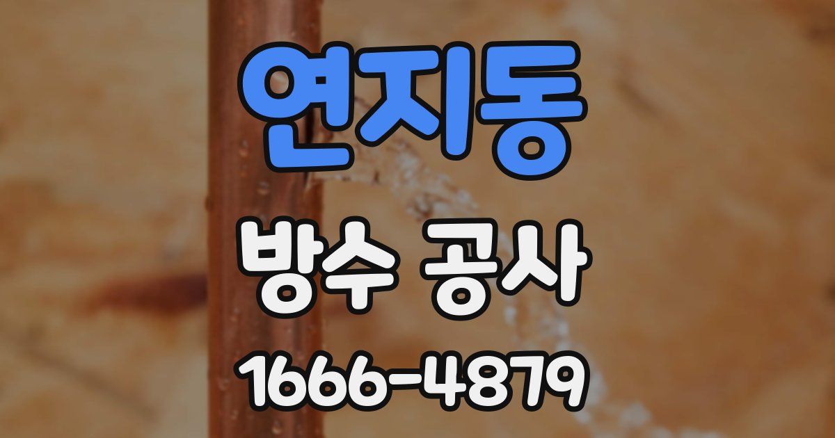 연지동 방수 공사