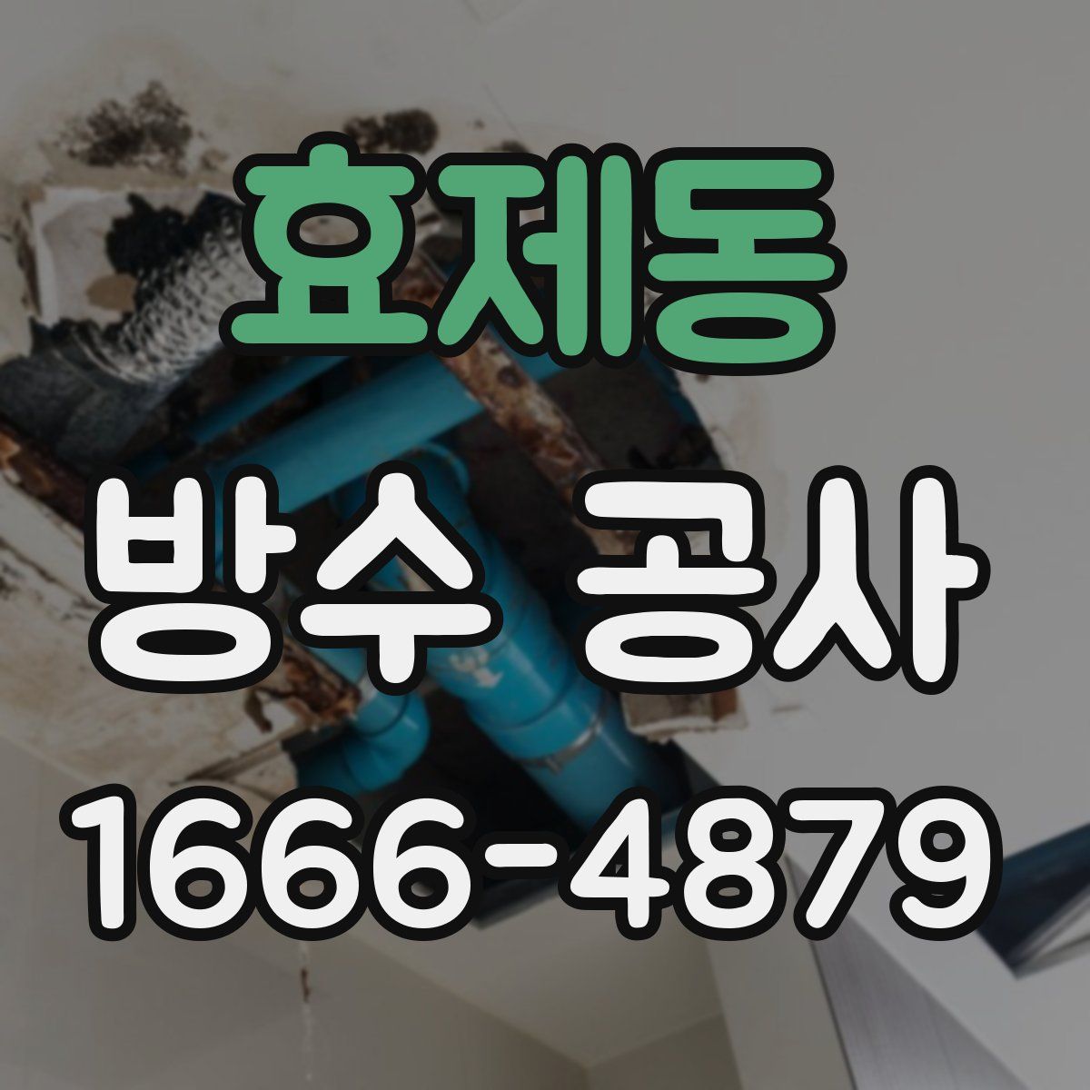 효제동 방수 공사