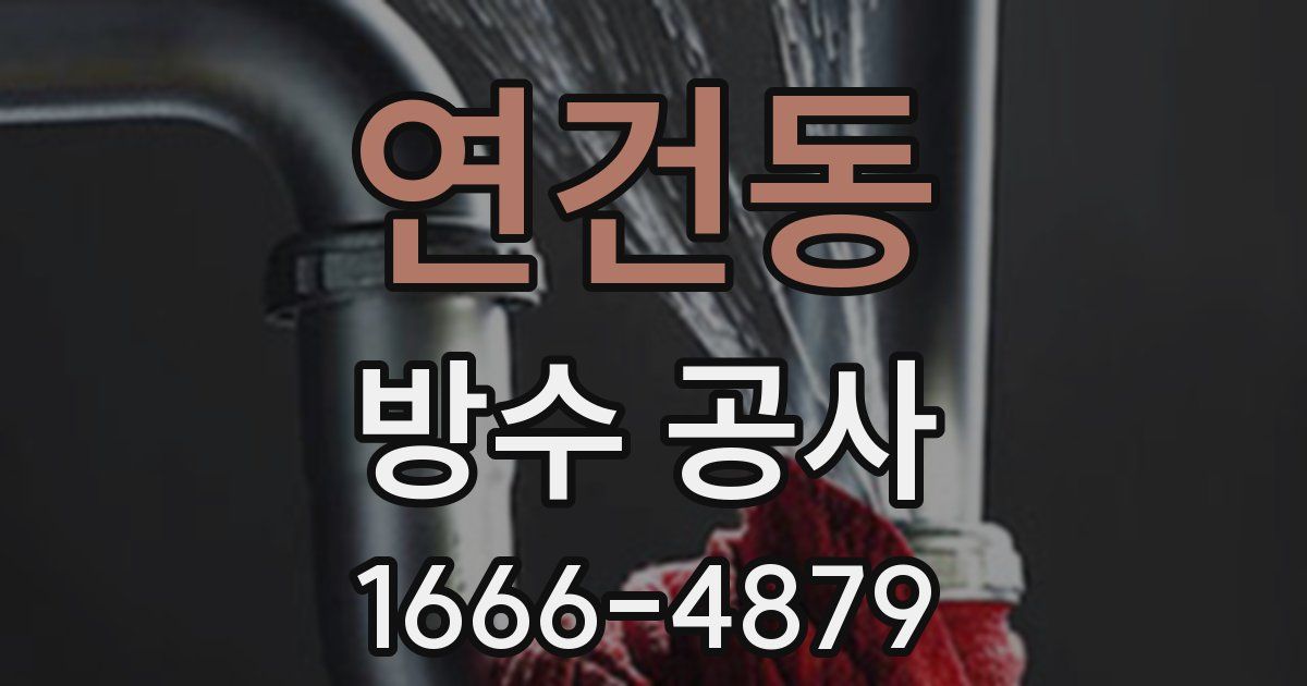 연건동 방수 공사
