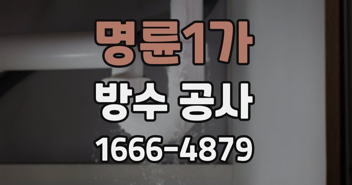 명륜1가 방수 공사