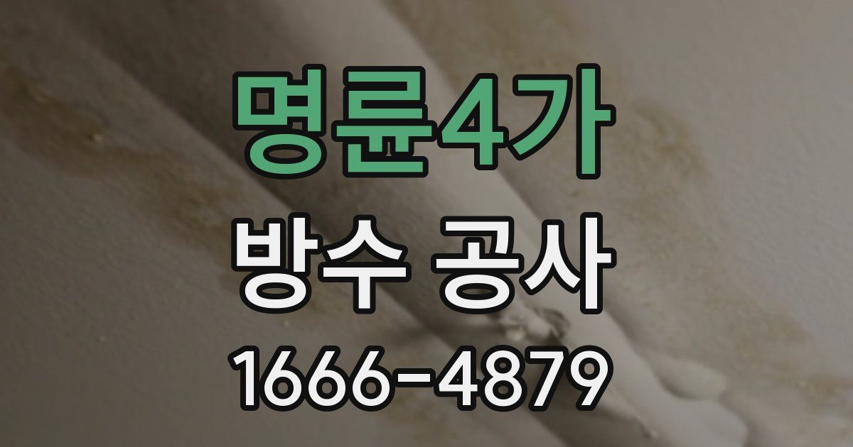 명륜4가 방수 공사