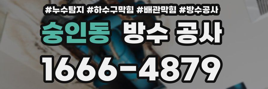숭인동 방수 공사