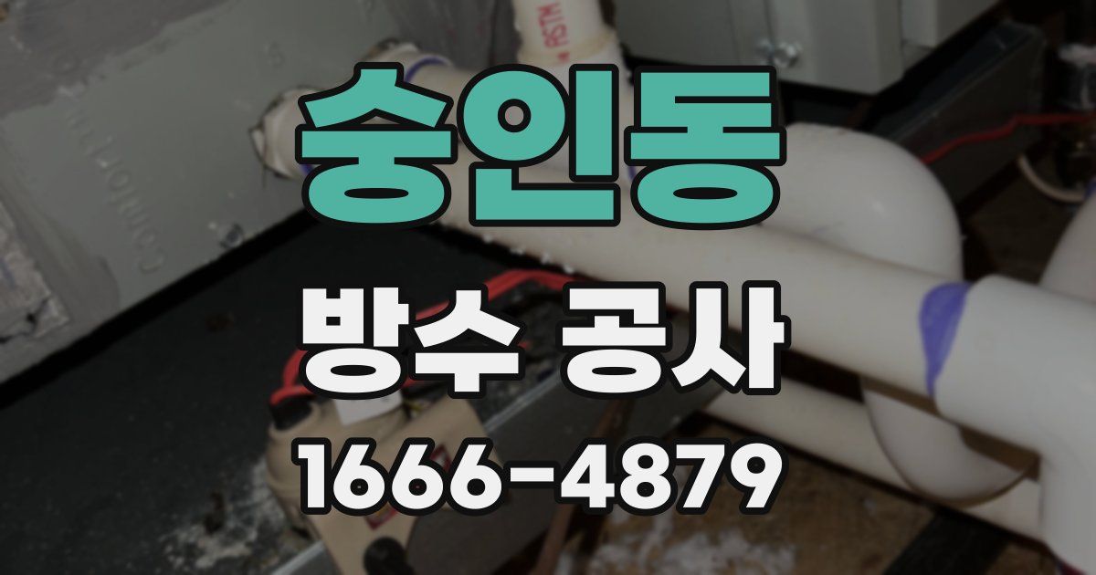 숭인동 방수 공사