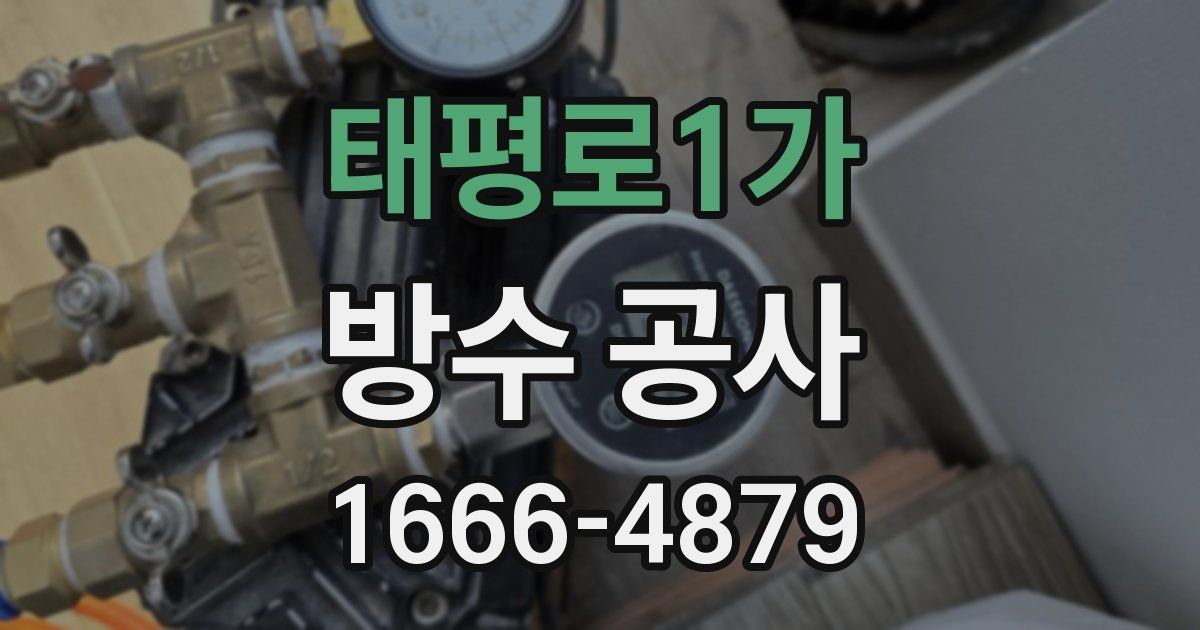 태평로1가 방수 공사