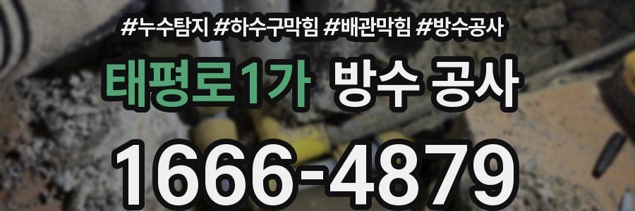 태평로1가 방수 공사