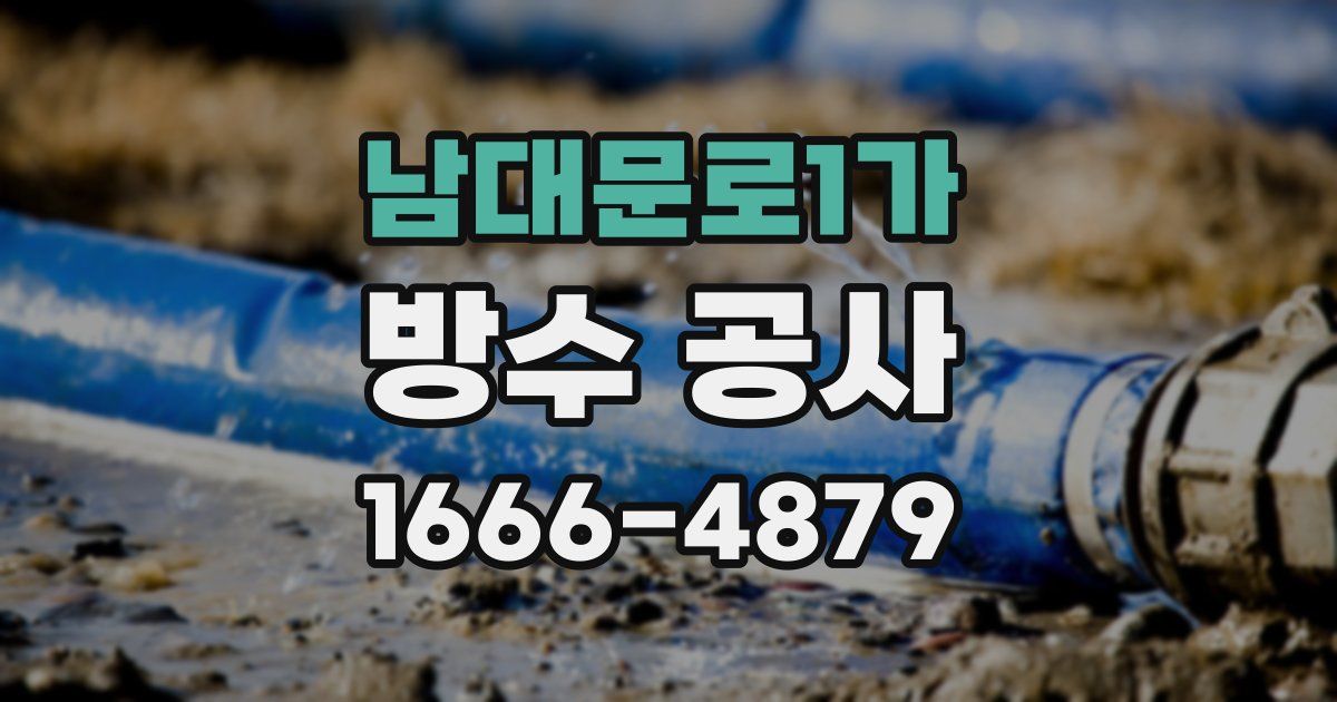 남대문로1가 방수 공사