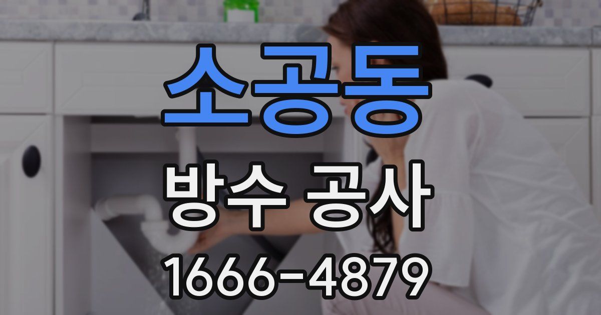 소공동 방수 공사