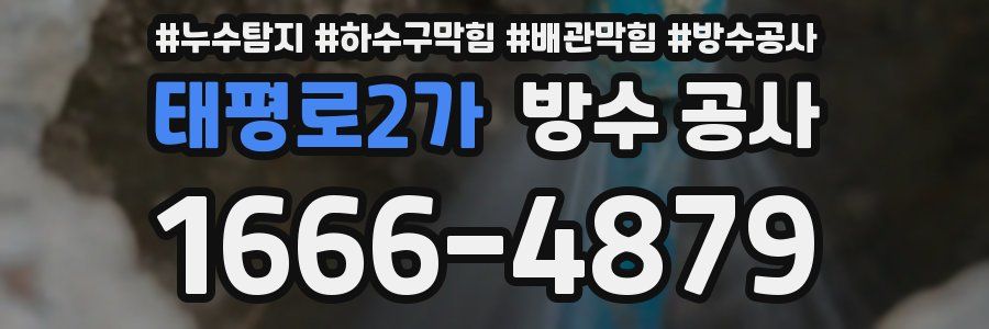 태평로2가 방수 공사