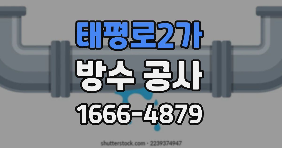 태평로2가 방수 공사