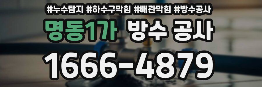 명동1가 방수 공사