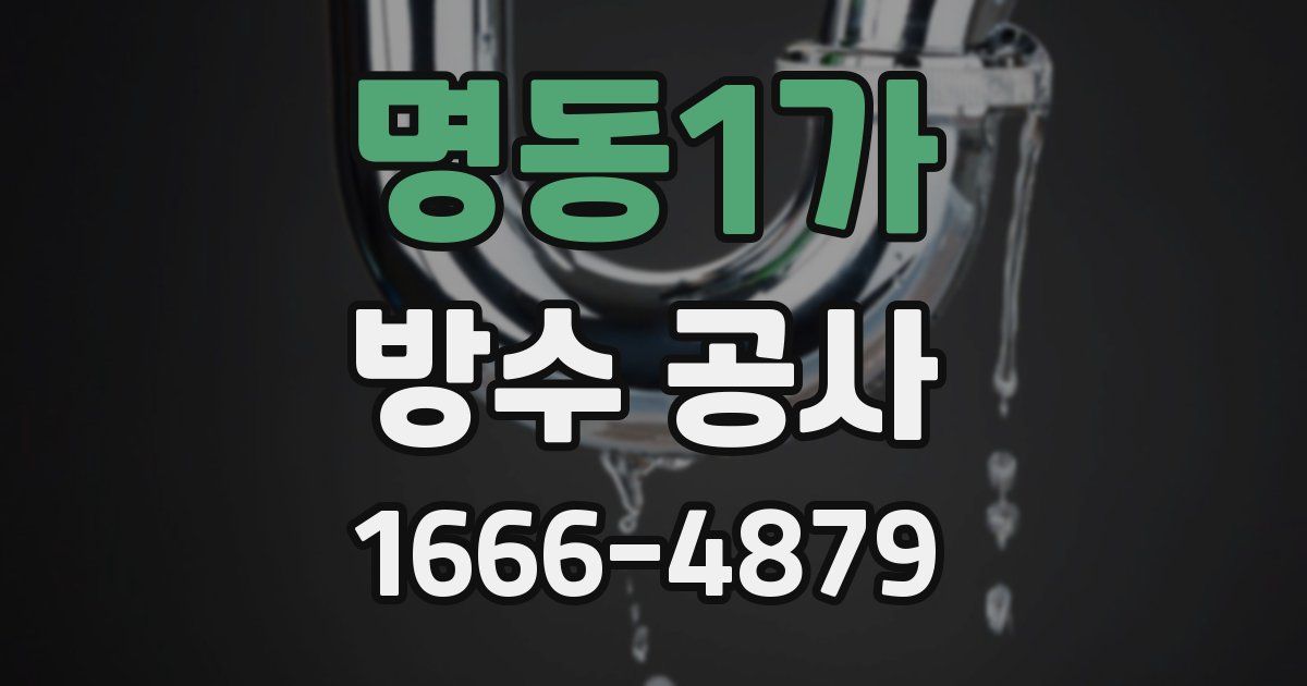 명동1가 방수 공사