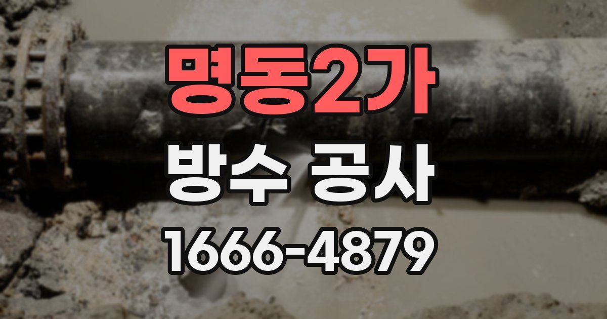 명동2가 방수 공사