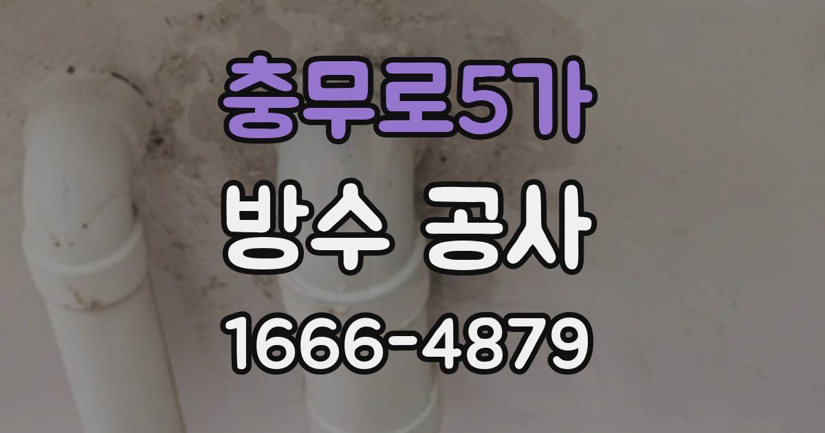 충무로5가 방수 공사