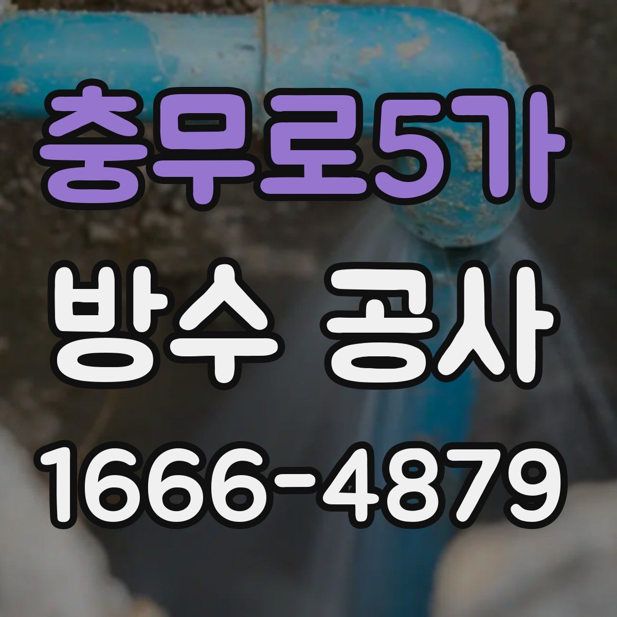 충무로5가 방수 공사