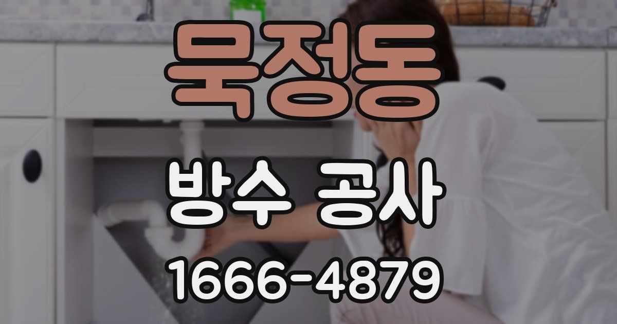 묵정동 방수 공사