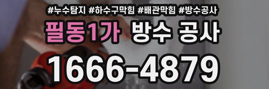 필동1가 방수 공사