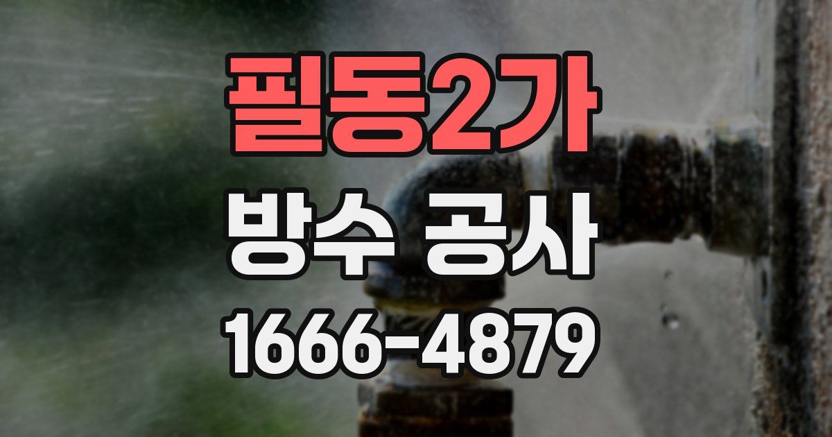 필동2가 방수 공사