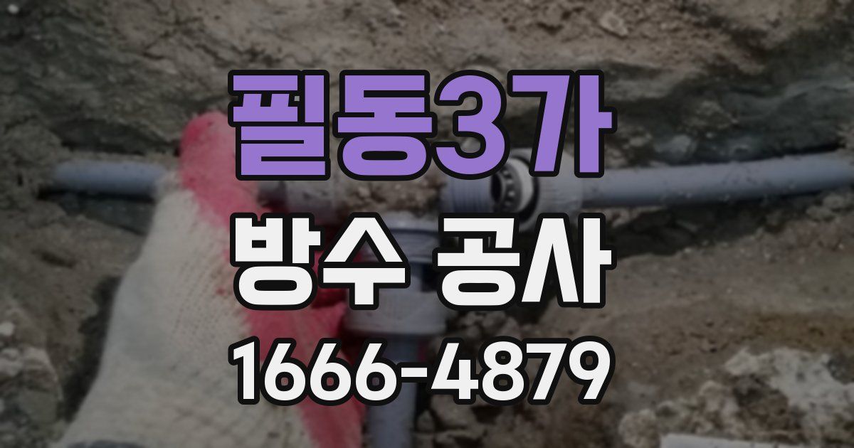 필동3가 방수 공사