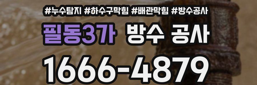 필동3가 방수 공사