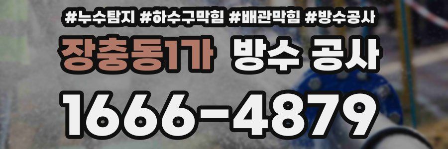 장충동1가 방수 공사