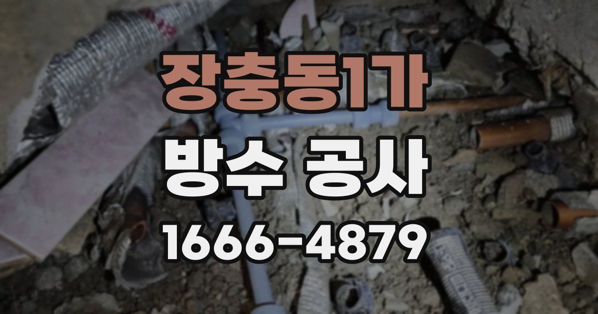 장충동1가 방수 공사