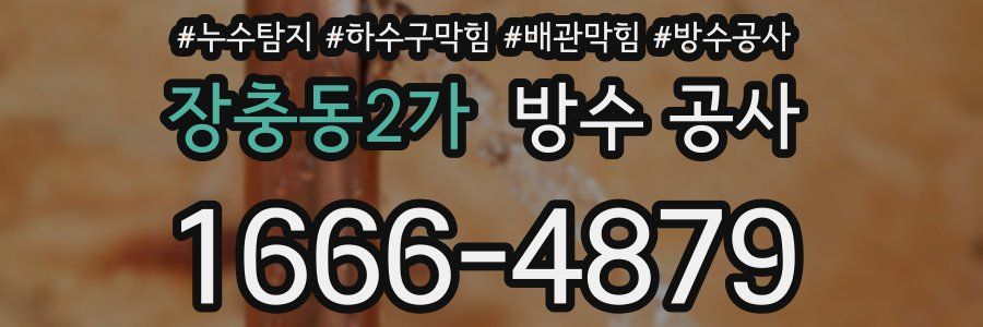장충동2가 방수 공사