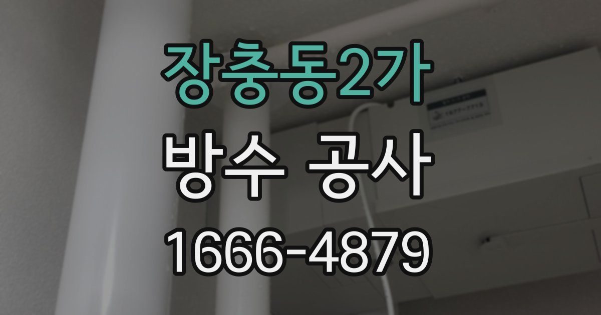 장충동2가 방수 공사
