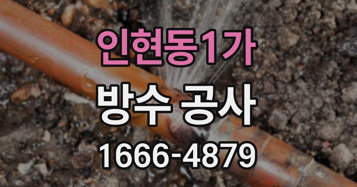 인현동1가 방수 공사