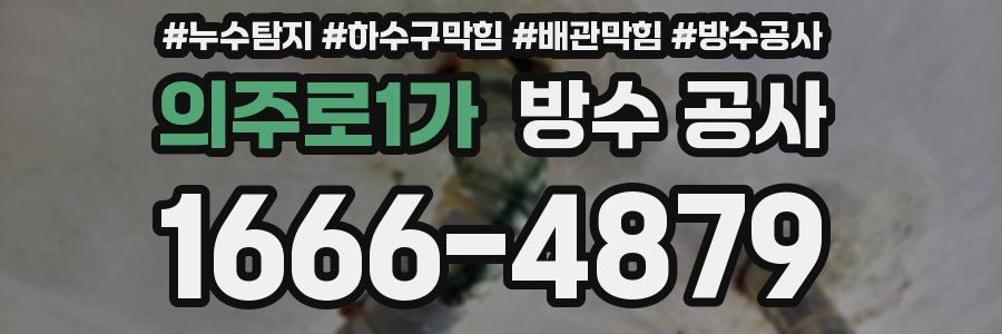 의주로1가 방수 공사
