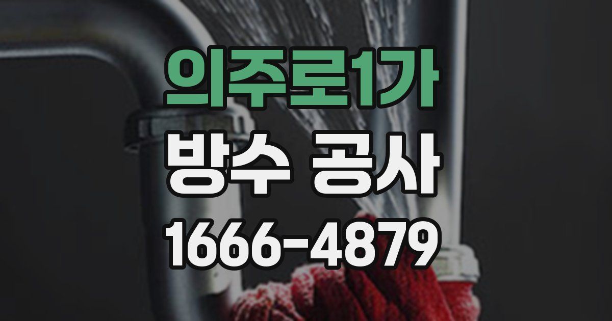 의주로1가 방수 공사